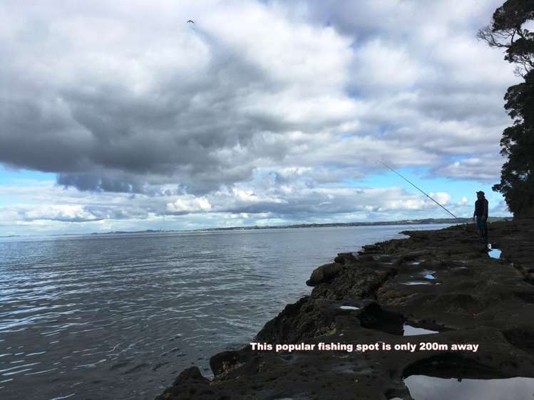 315 Pinecrest Drive Gulf Harbour_2