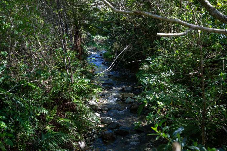 312 Lud Valley Road Hira_26