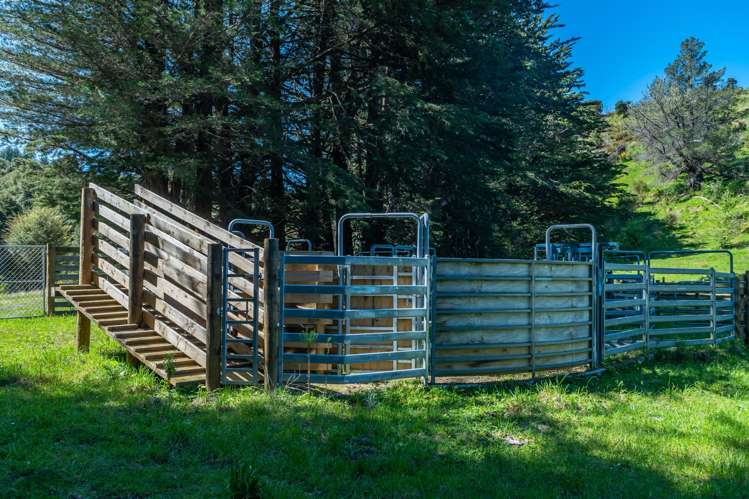 600 Hundalee Road Kaikoura_49