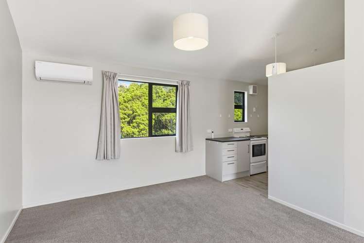 3 Vera Lane Paraparaumu_5