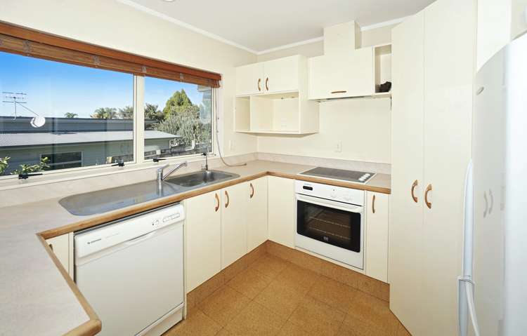 3b Otawa Street Te Puke_5