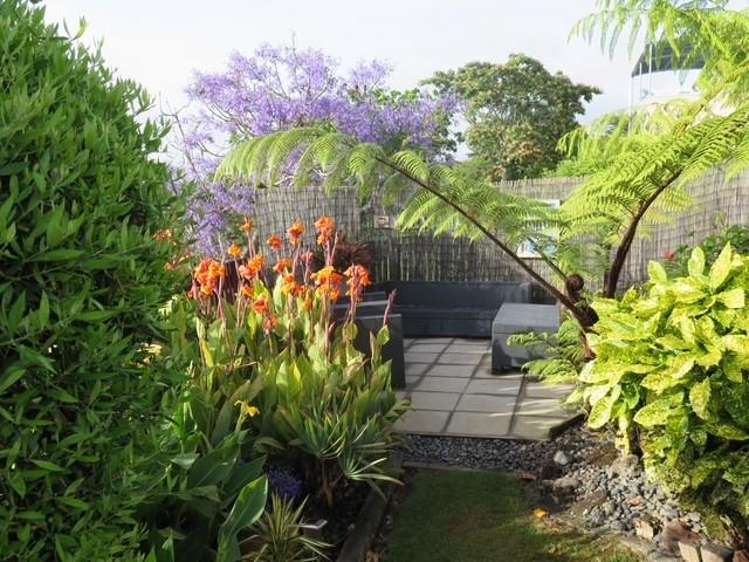 51 Spence Road Henderson_36