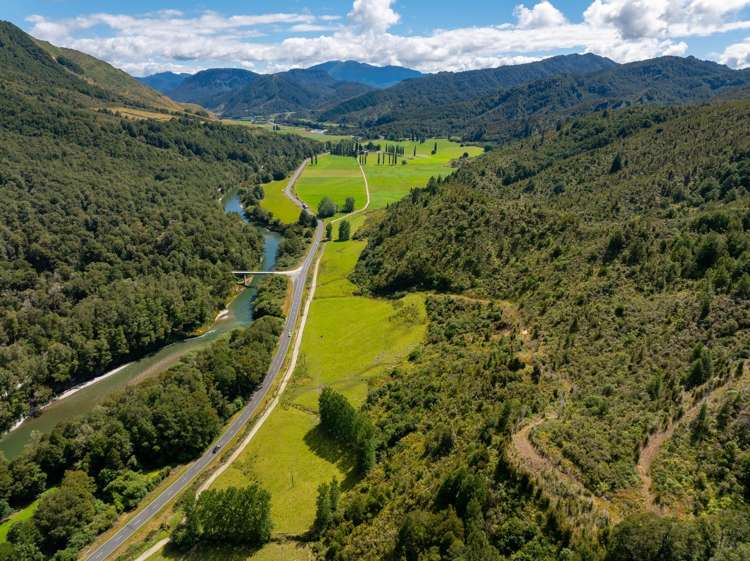 1153 Shenandoah Highway Murchison_24