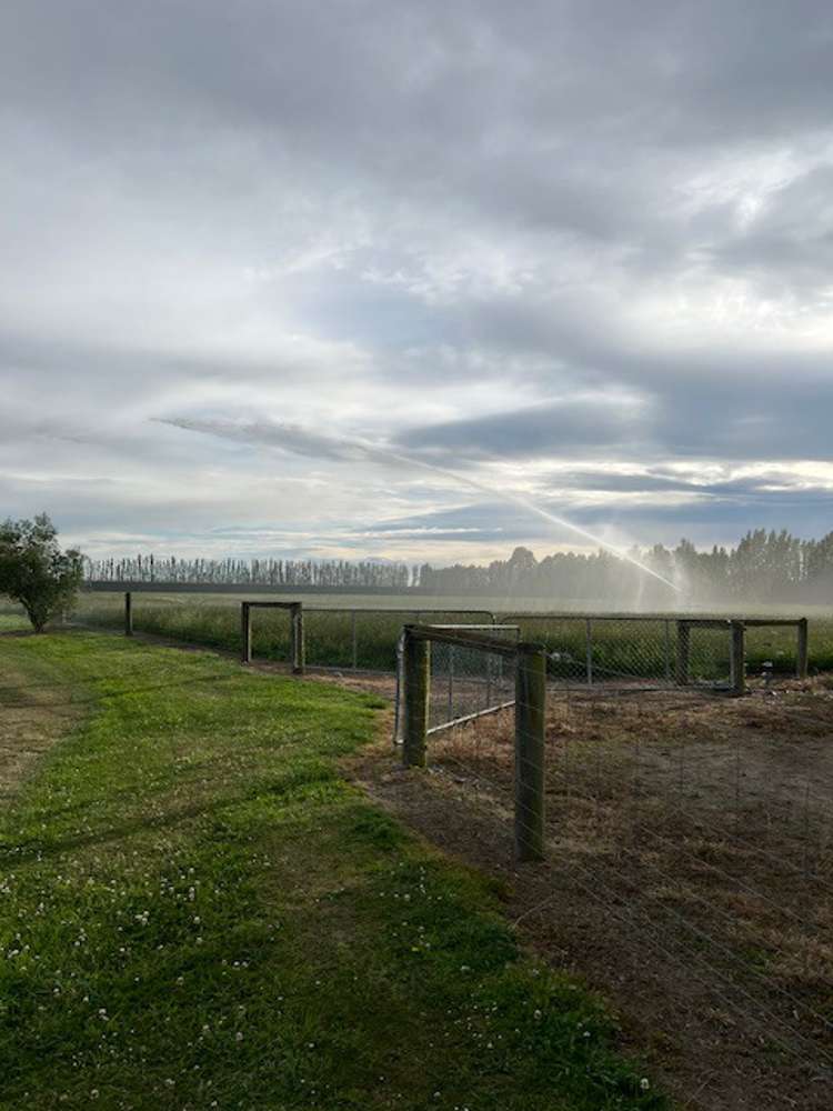 349 Wakanui Road Ashburton_16