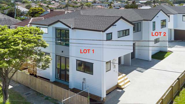 Lot 1/63 Farrelly Avenue Mt Roskill_3