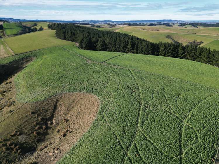 92 Cameron Road Hillend_20