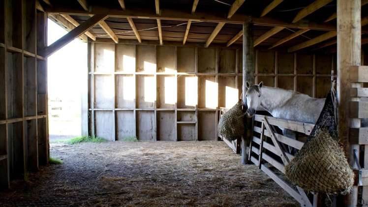 74d Awanuiarangi Road Pikowai_16