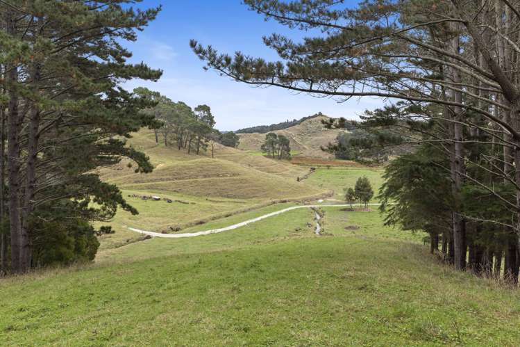 316 Bluff Road Pokeno_22