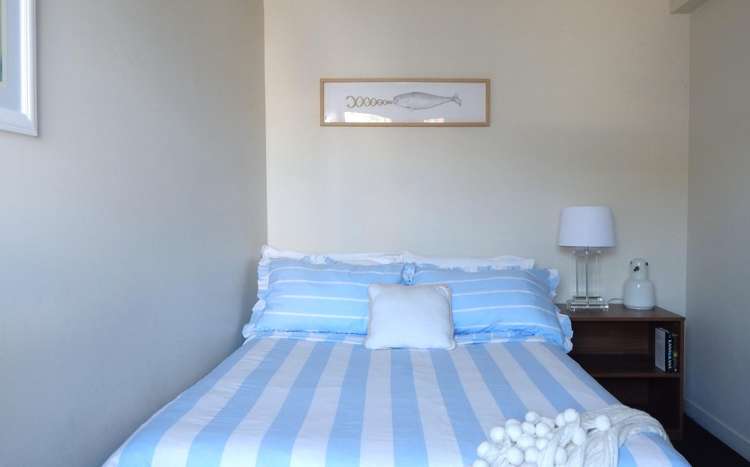 1F/242 Taranaki Street Mount Cook_6