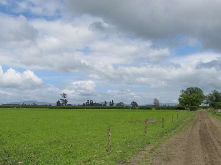 183 Waghorn Road Wardville_15