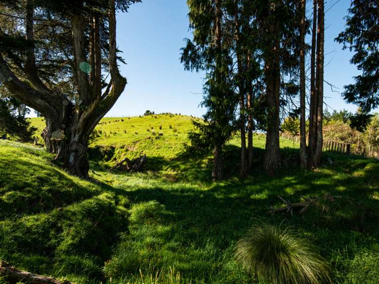 Ruatiti Road Raetihi_6