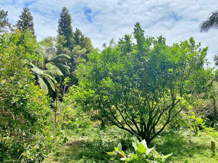 308 Henderson Bay Road Houhora_24