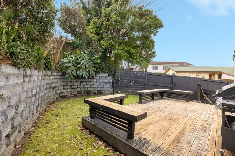 85 Greerton Road Gate Pa_19