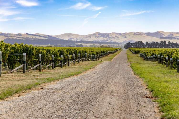 1 Wairau Plains Renwick_14