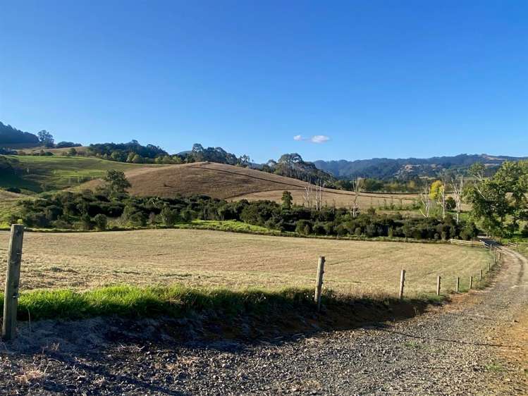 1166 Leigh Road Matakana_10