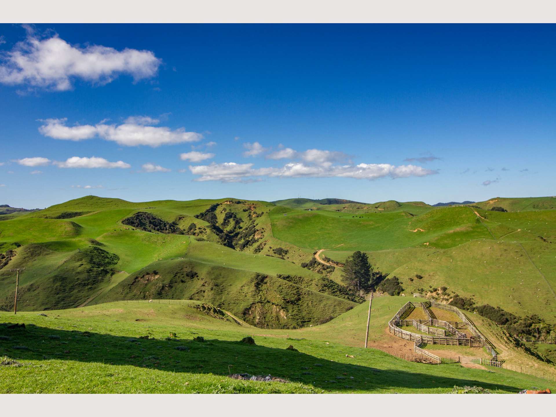 1456 Rangitatau East Road Ruapehu-King Country Surrounds_0