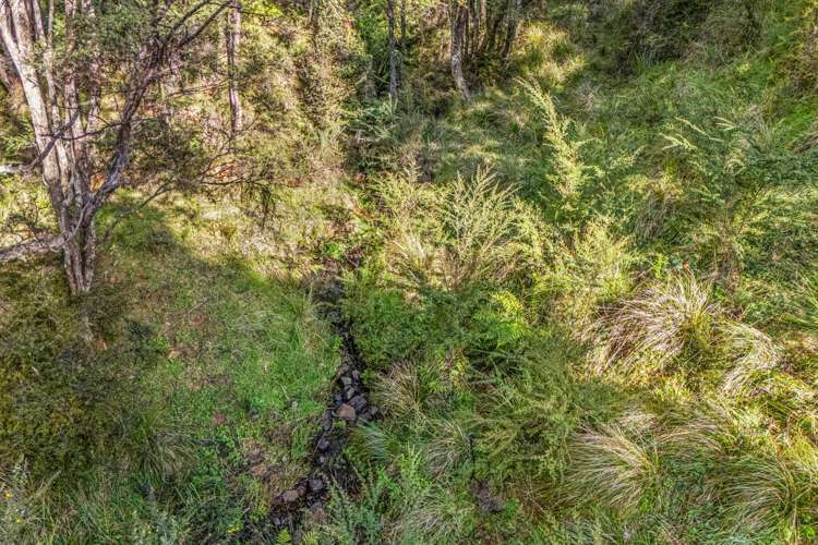 1762 Kohumaru Road Peria_17