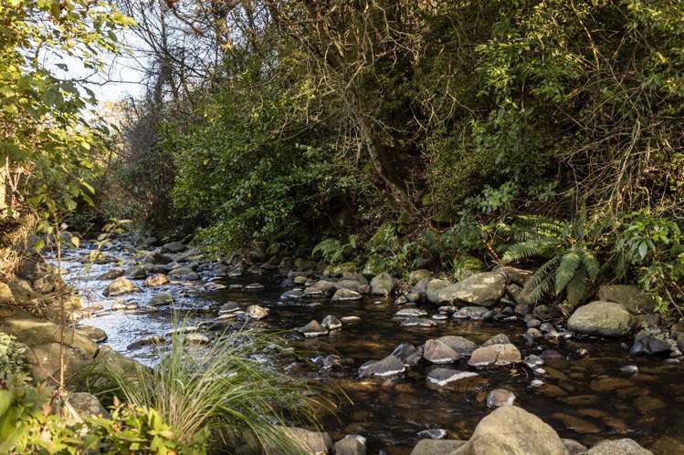 59 Norwood Street Normanby_20