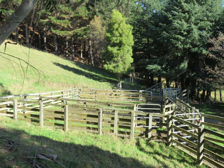 507 Apley Road Puketapu_7