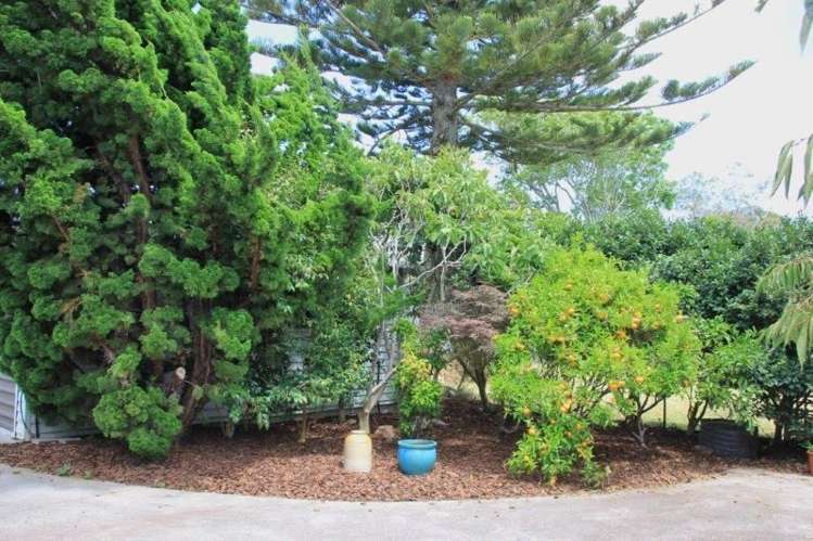 203 Fergusson Drive Thames_28