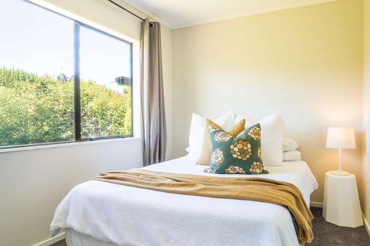 175A Vigor Brown Street Napier South_13