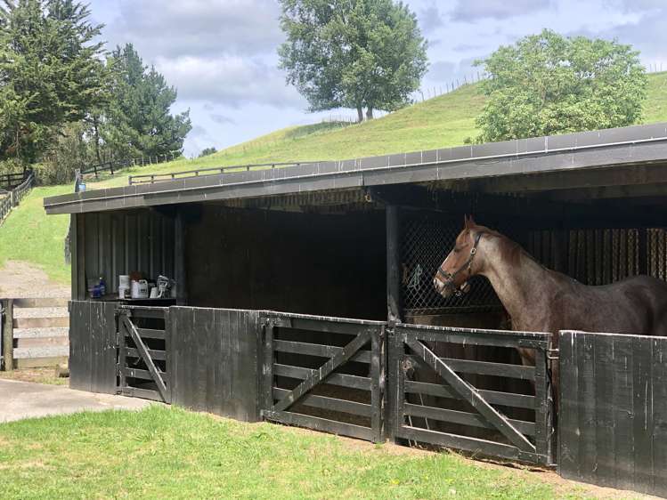 57 Pukerimu Lane Cambridge_8