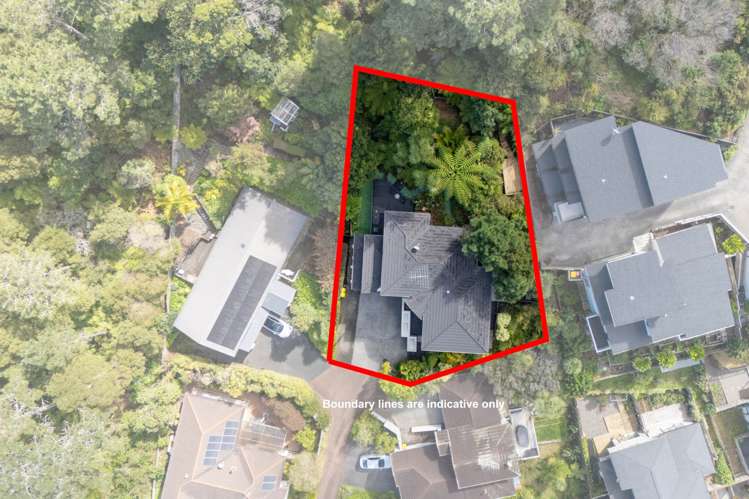 51 Helvetia Drive Browns Bay_29