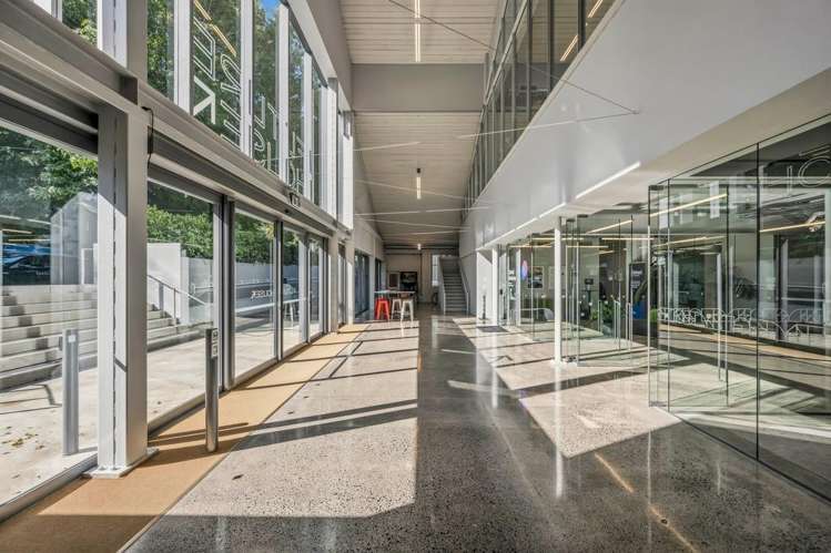 24 Balfour Road Parnell_7