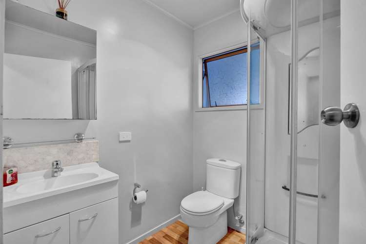 15 Kauri Street Inglewood_18