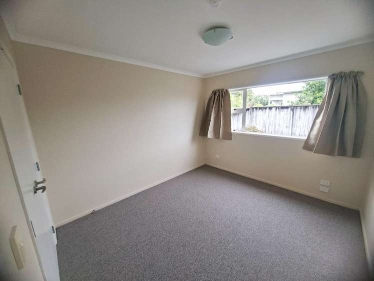 17b Maitland Road 1067_4