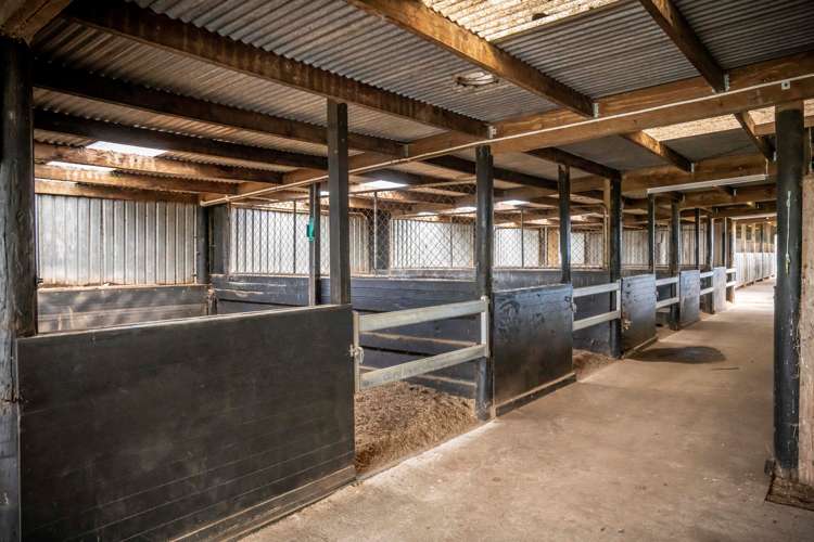 2/101 Racecourse Road Cambridge_13