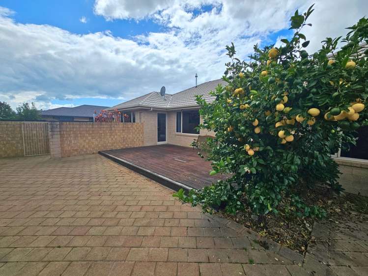 5 Natalie Place Witherlea_14