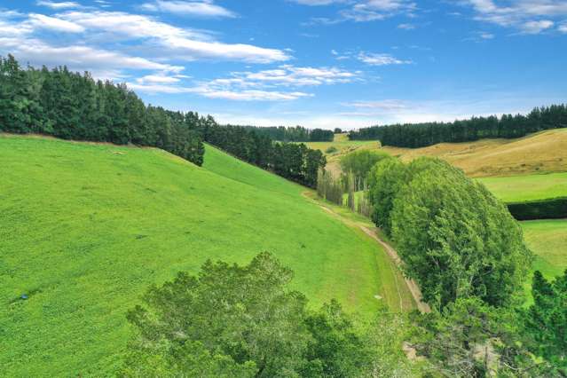 82 Paradise Gully Road Ngapara_2