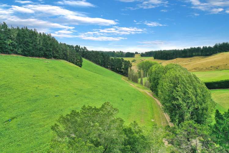 82 Paradise Gully Road Ngapara_2