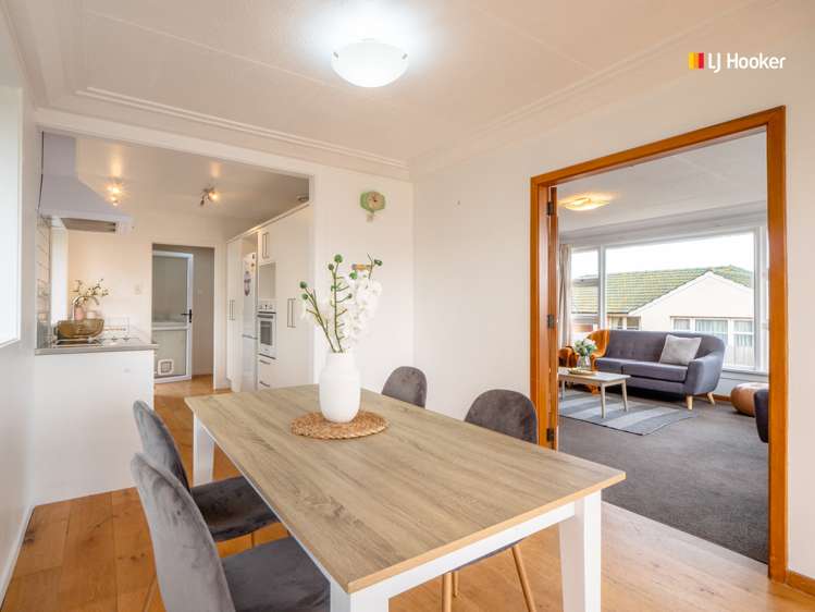 221 Highcliff Road Shiel Hill_3