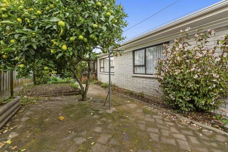 12b Gillam Crescent Springfield_15