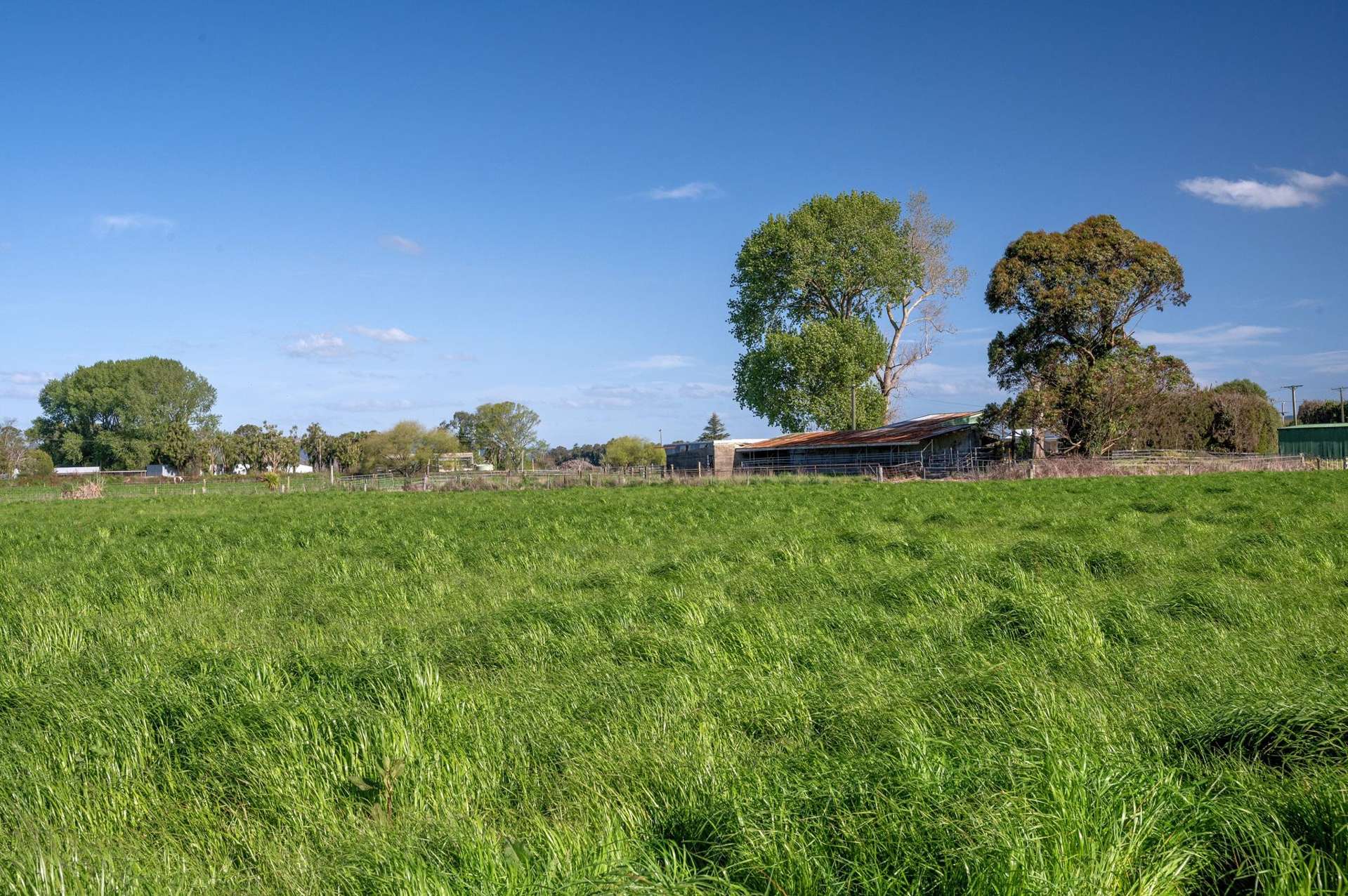 206B Thornton Road Thornton_0