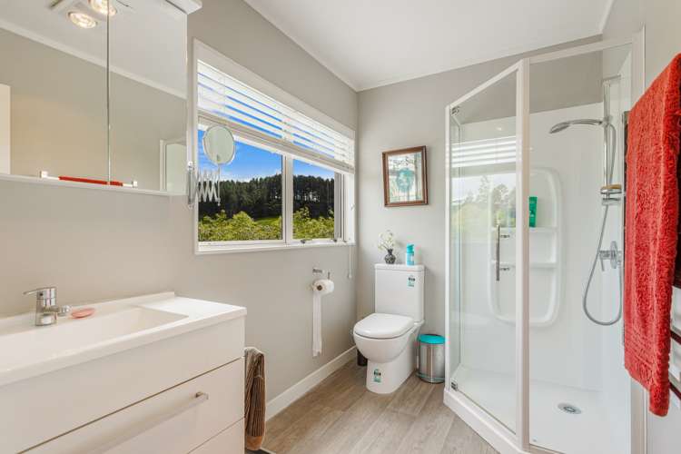764 Peak Road Helensville_19