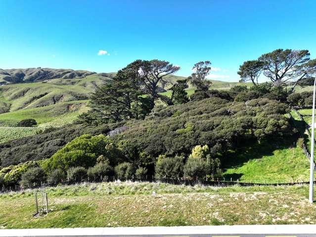 Build Your Dream Home