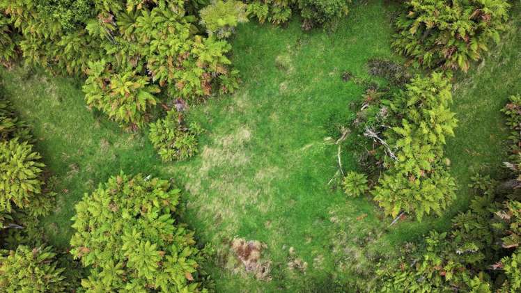 7957 State Highway 2 Opotiki Surrounds_7