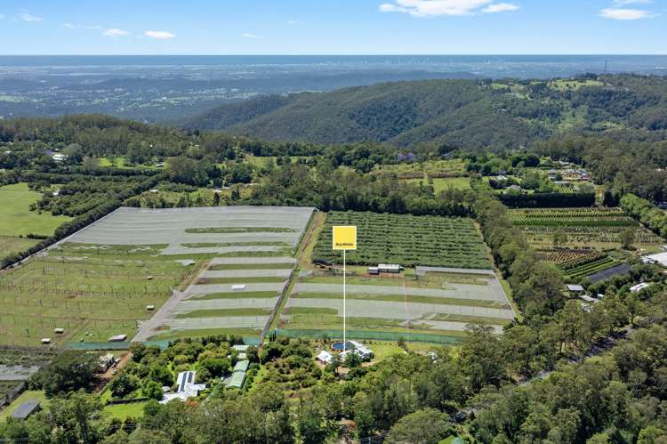 332-356 Main Western Road Tamborine Mountain_39