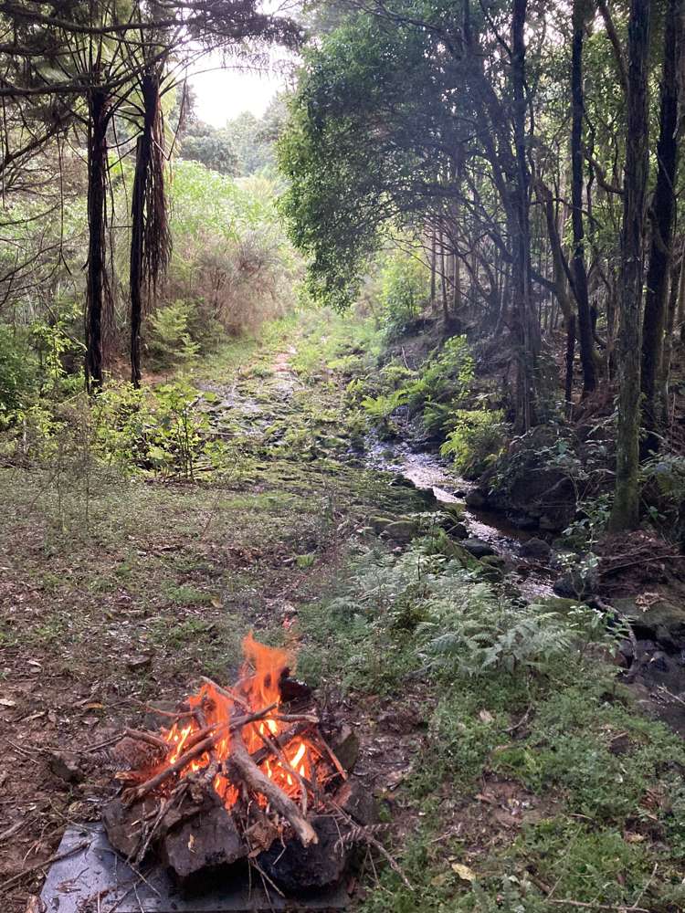 99 Franklin Road Parua Bay_25