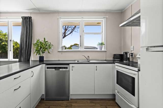 26 Mason Avenue Maraenui_1