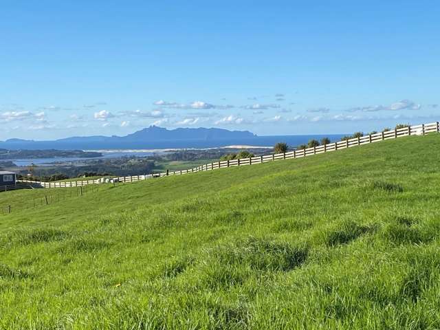 5 Wendy's Lane Mangawhai_3
