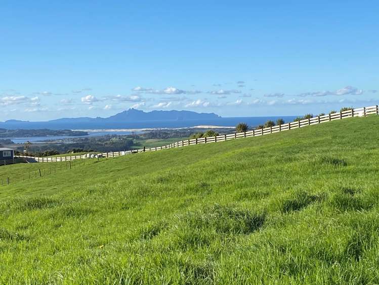 5 Wendy's Lane Mangawhai_3