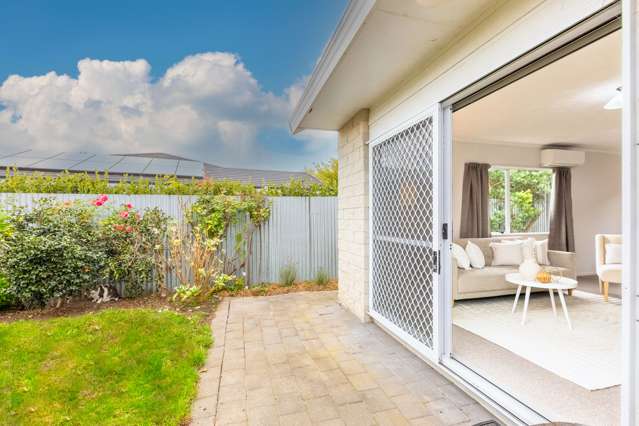 6/55 Meeanee Road Taradale_2