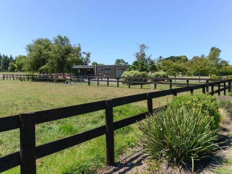 17 The Loop Meeanee_15