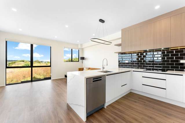 33 Waterlily Street Hobsonville_1
