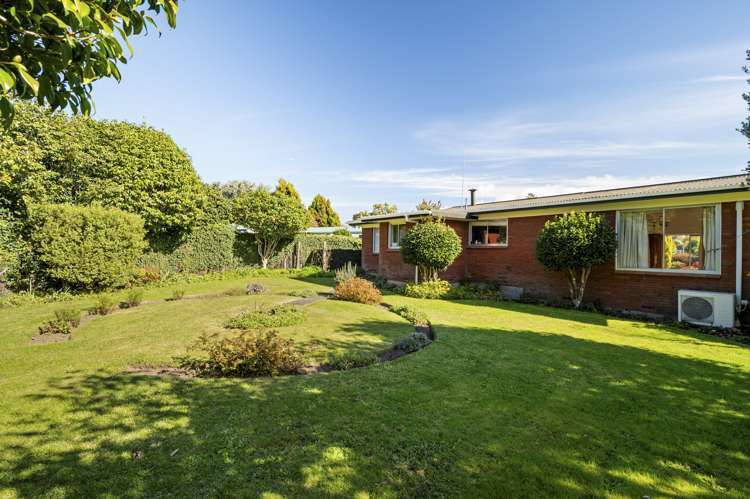 5 Douglas Street Springfield_13