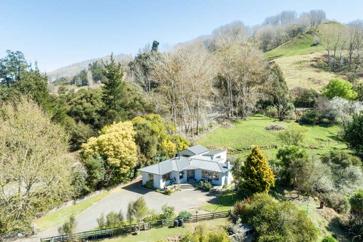 309 Ellis Wallace Road Eskdale_17